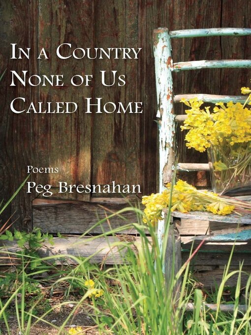 Title details for In a country none of us called home by Peg Bresnahan - Available